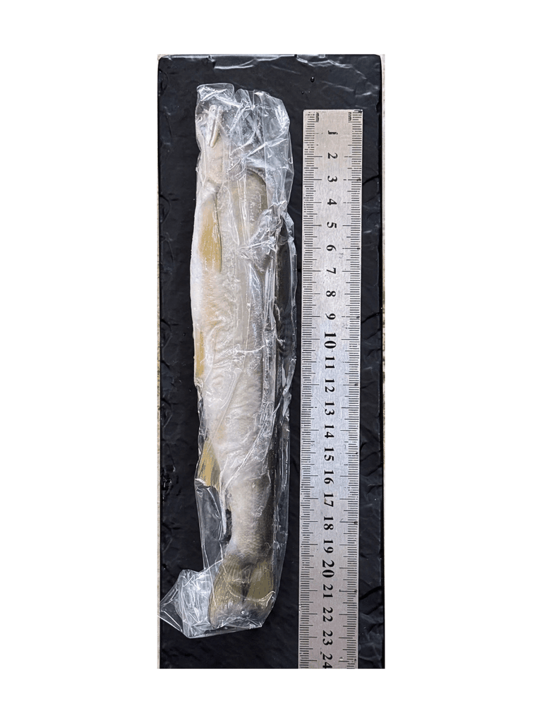 Cá Ayu Nhật Bản Đông Lạnh 1KG (Size 9 Con, Không Trứng)