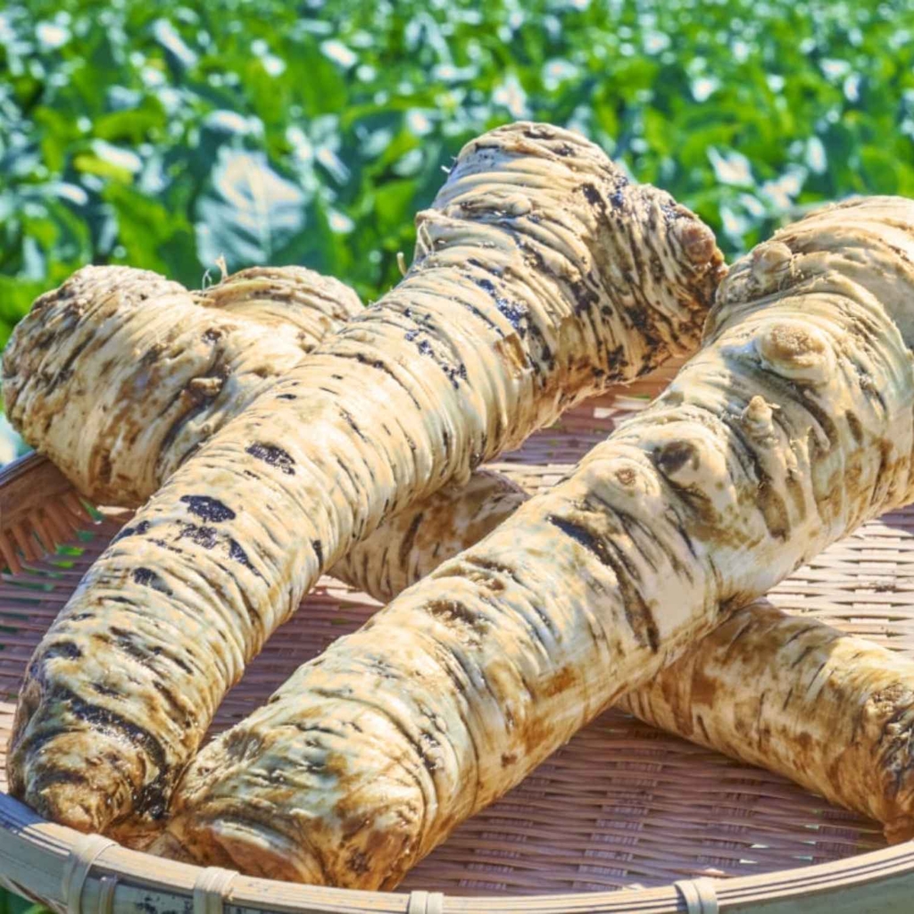 Cải Ngựa Kinjirushi Bào Nhuyễn Đông Lạnh 100G