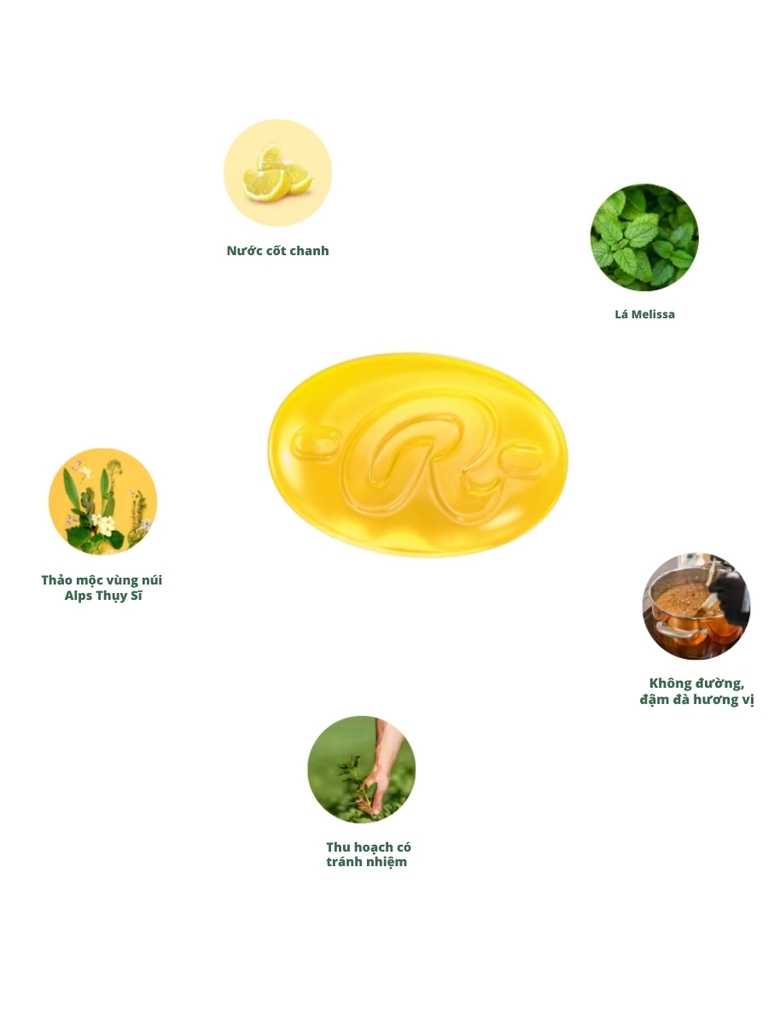 Kẹo ngâm thảo mộc Ricola Lemonmint không đường 40G