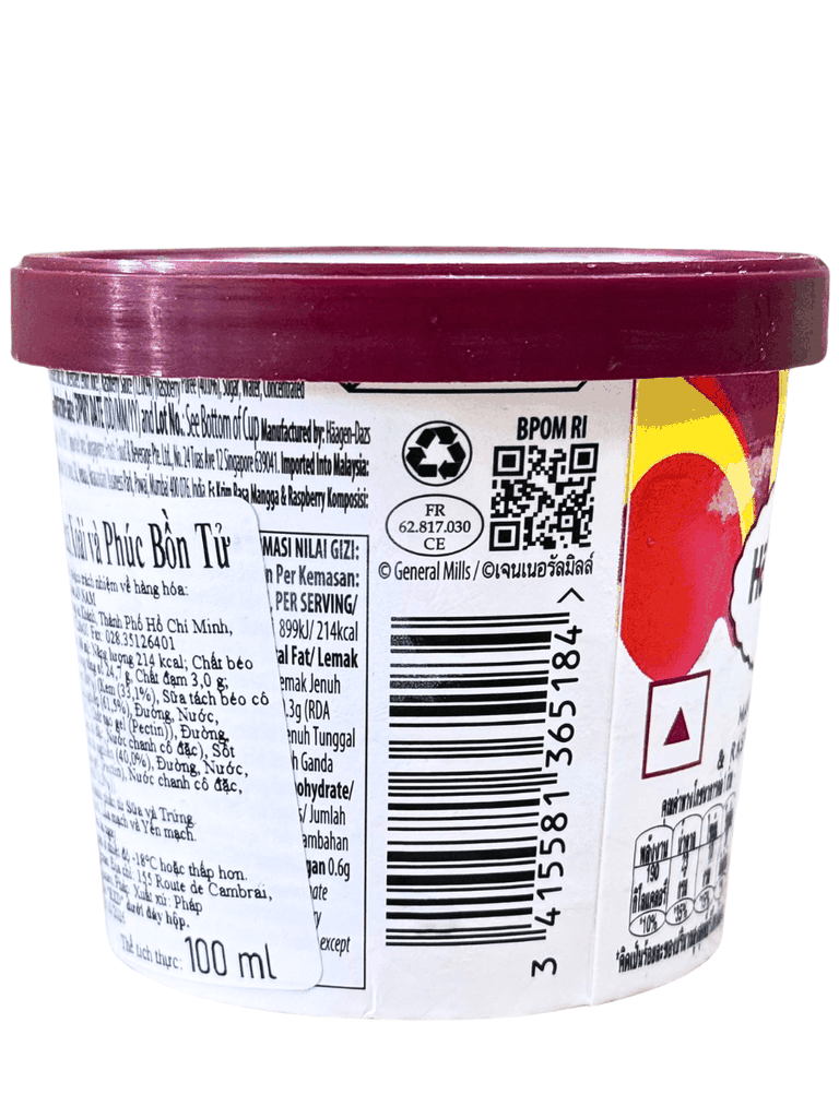 Kem Häagen-Dazs Xoài & Phúc Bồn Tử 100ML