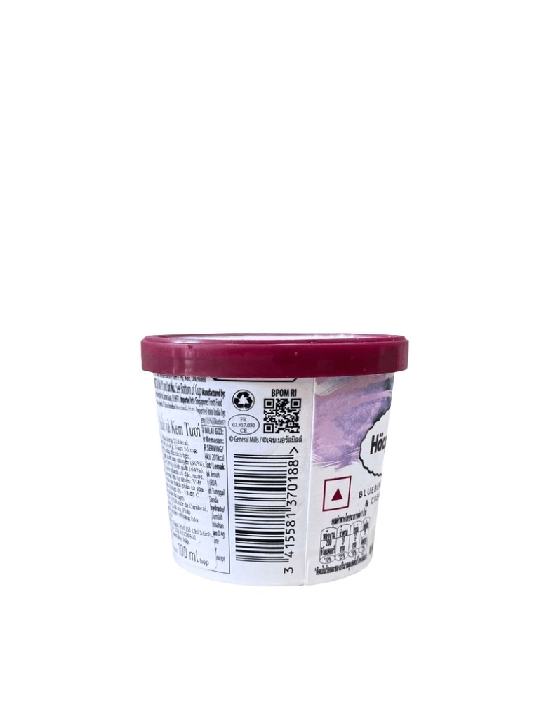 Kem Häagen-Dazs Việt Quất & Kem Tươi 100ML