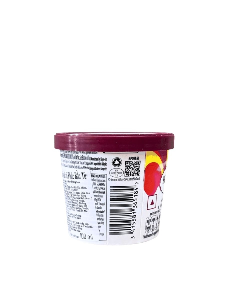 Kem Häagen-Dazs Xoài & Phúc Bồn Tử 100ML