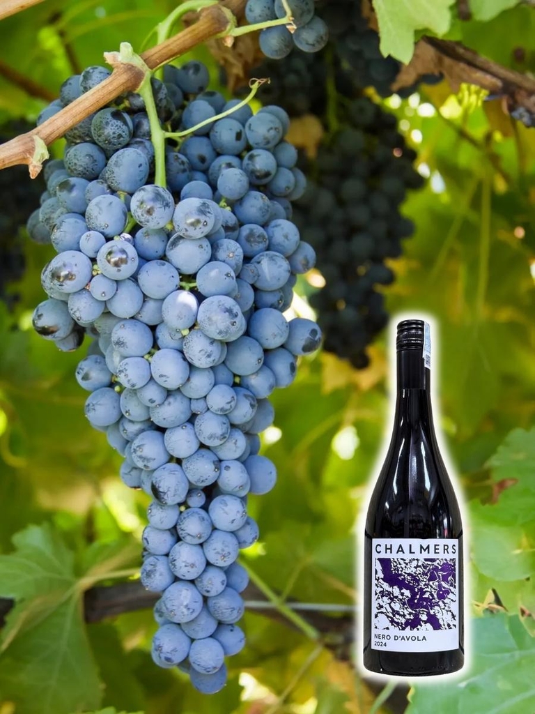 Rượu Vang Đỏ Chalmers Nero D’Avola 2024 12.7% 750ML