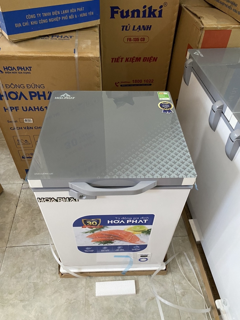 Tủ Đông 107L Hòa Phát HPF-AD6107.T1
