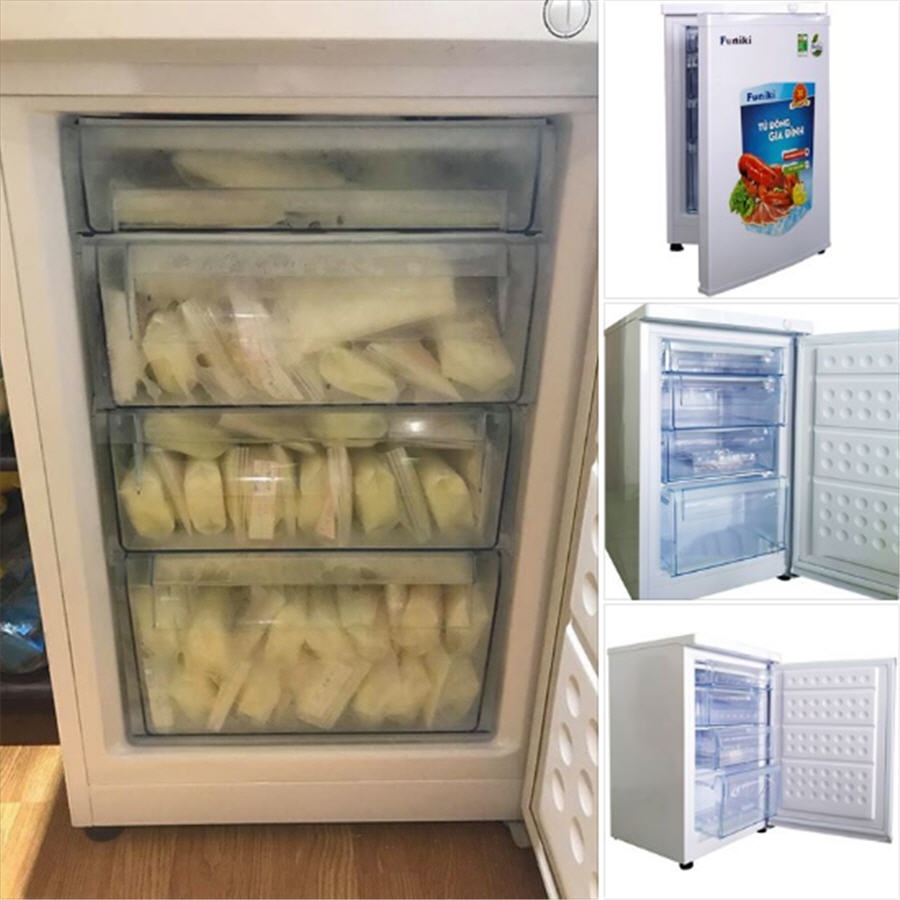 Giảm Giá Đặc Biệt Tủ Đông Trữ Thực Phẩm, Trữ Sữa Cho Bé