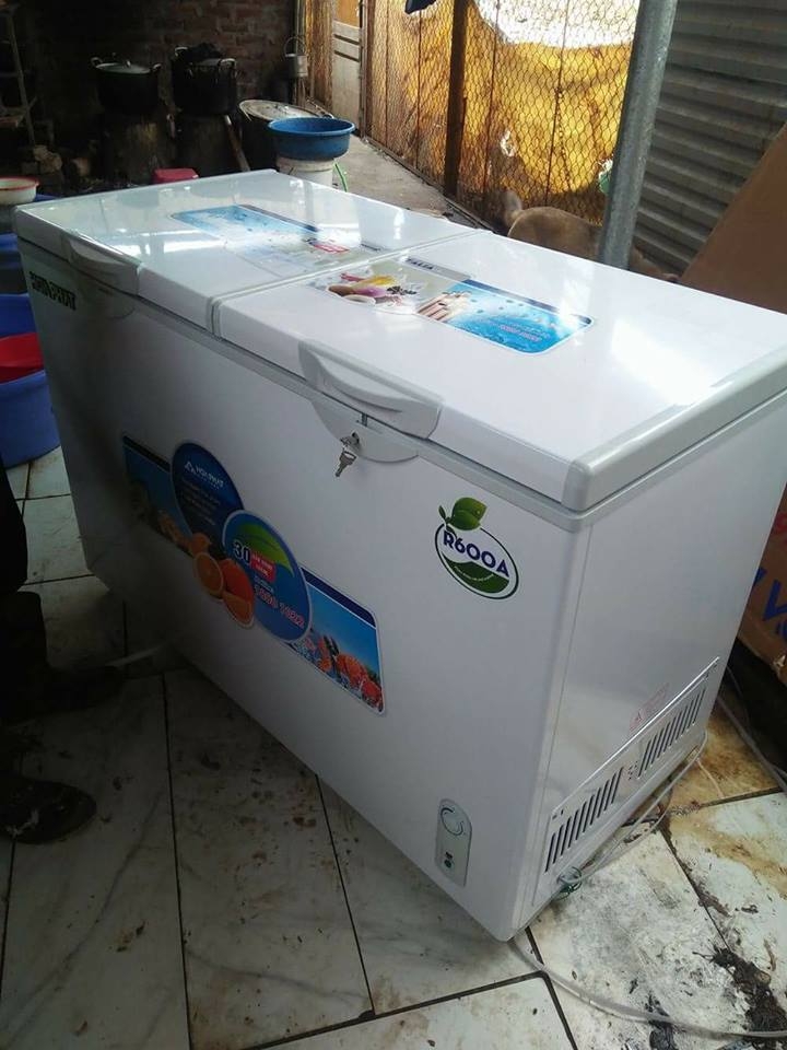 tủ đông hòa phát 656