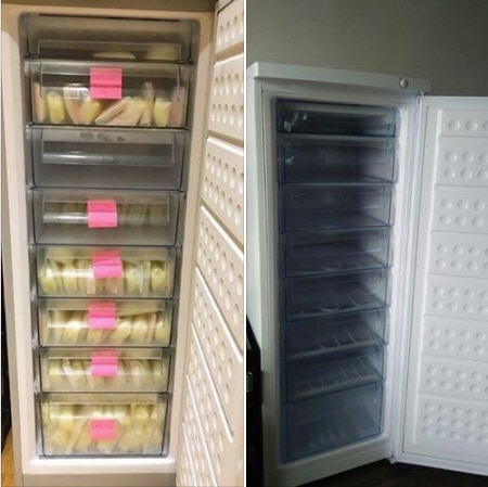 Tủ trữ sữa 8 ngăn kéo 220 lít