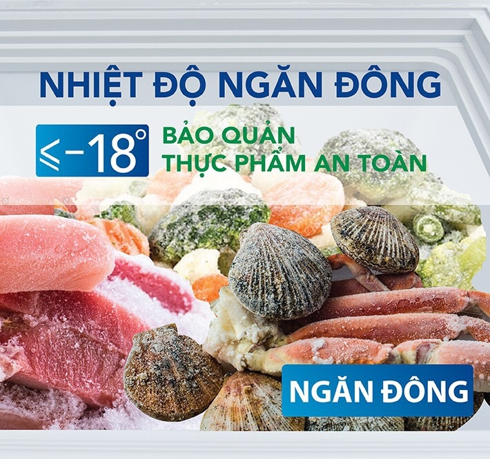 Tủ 1 ngăn đông + 1 ngăn mát 500 lít dài 103 cm rộng 61cm