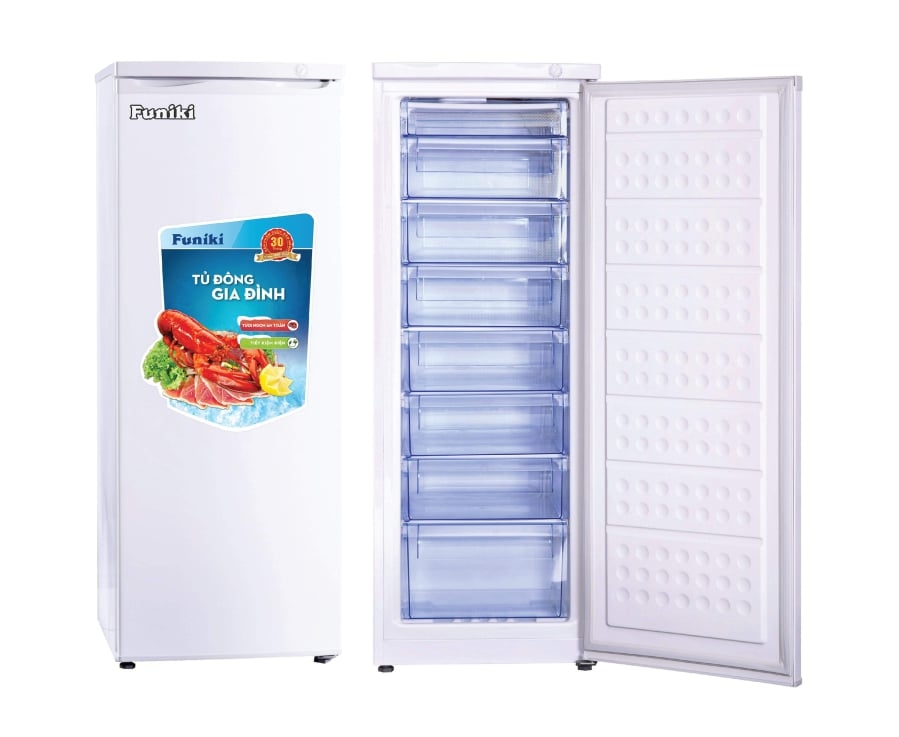 3 mẫu Tủ đông đứng chia ngăn