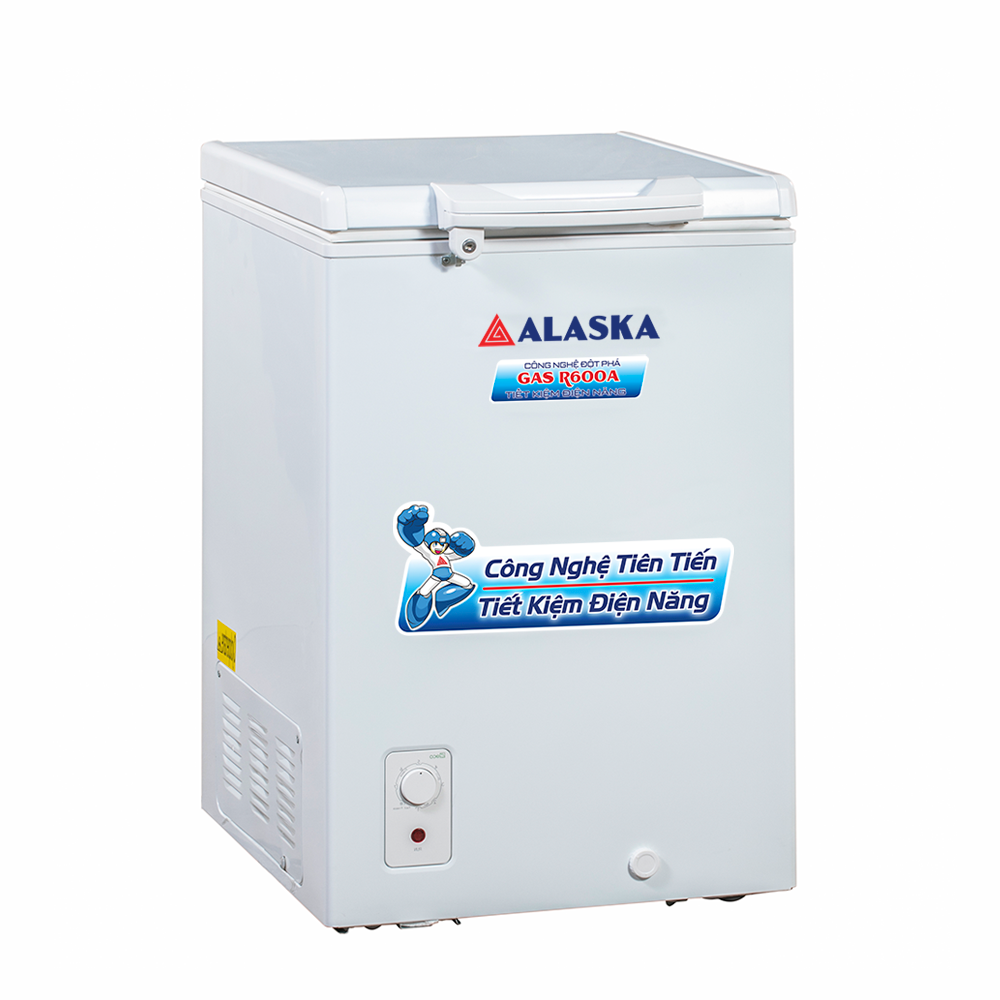 TỦ ĐÔNG BD-150