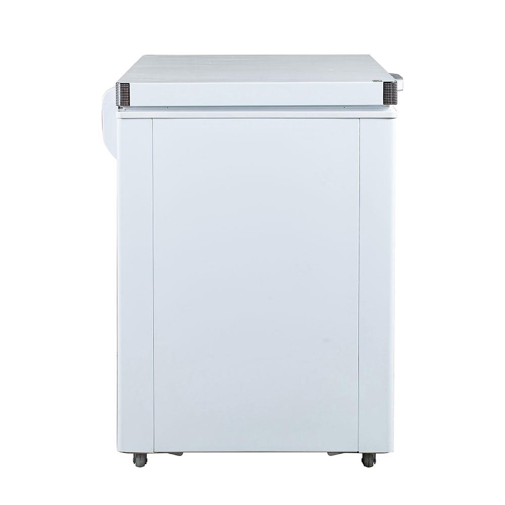 TỦ ĐÔNG BD-300C