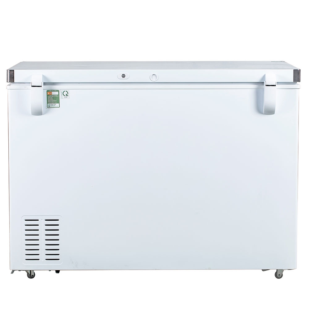 TỦ ĐÔNG BD-300C