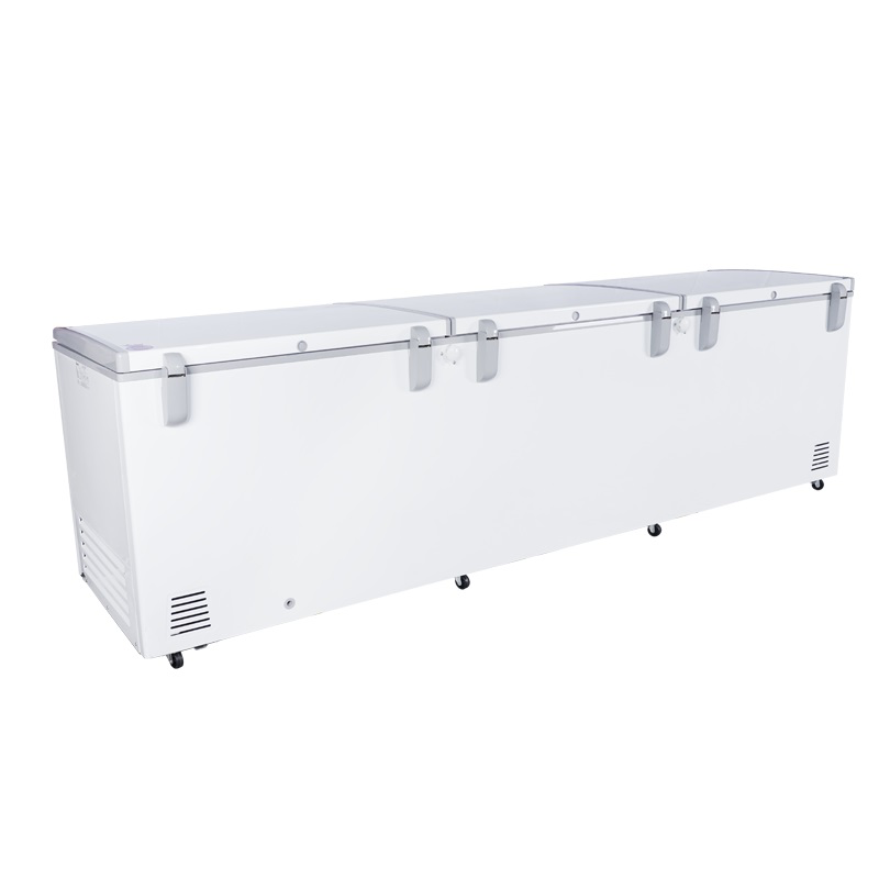Tủ đông Inverter Pinimax PNM 139AF3 1300 lít