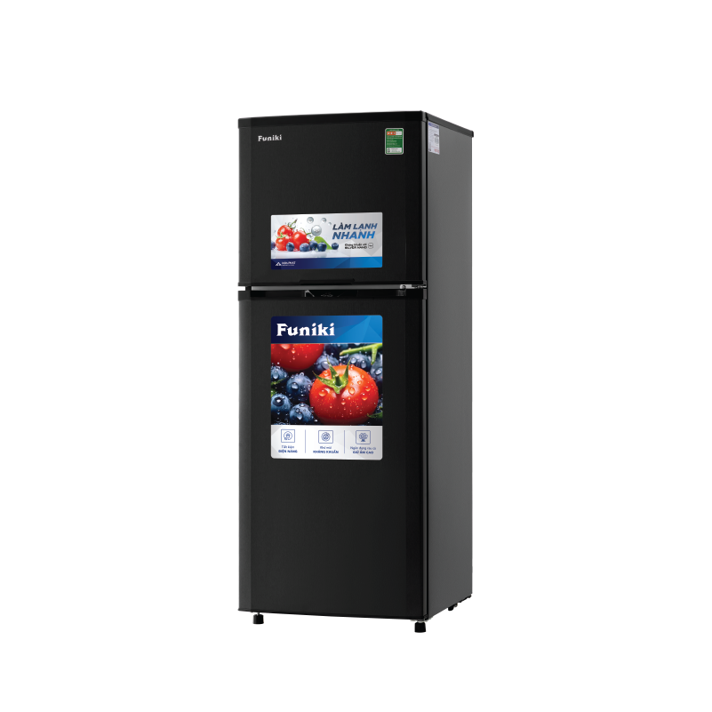 Tủ lạnh Funiki 209 lít HR-T6209TDG