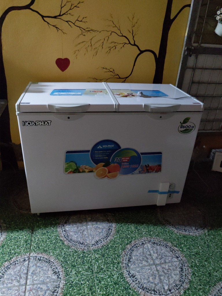 giao tủ đông bán hàng 260 lít tại Ngọc lâm long biên