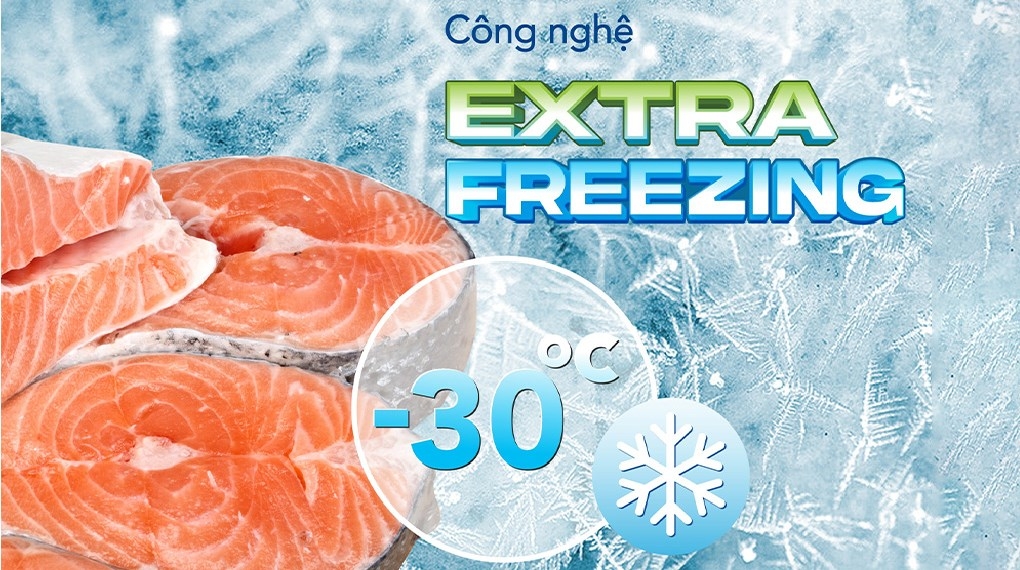 Tủ đông dung tích lớn Hòa Phát 1 ngăn 2 cánh HPF AD6544 1000L DÀN ĐỒNG