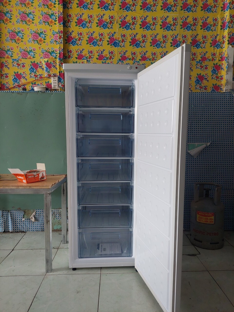 3 MẪU tủ đông đứng GIA ĐÌNH chia ngăn XẢ KHO TẾT