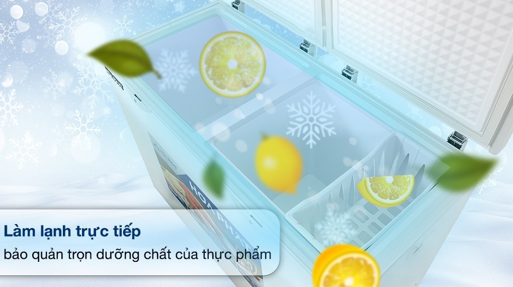 Tủ đông Hòa Phát 2 ngăn 2 cánh HCF 606S2Đ2 606 Lít lòng sử dụng 245L