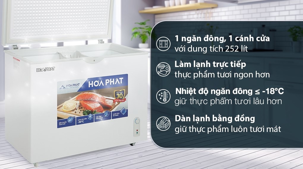 Tủ đông Hòa Phát 1 ngăn 1 cánh HCF 516S1Đ1 500L (Lòng sử dụng trong 252L)
