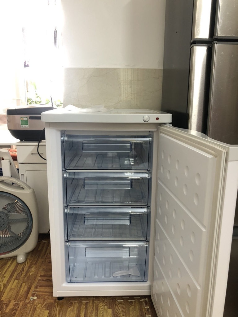 Tủ đông Hòa Phát đứng HUF 300SR1