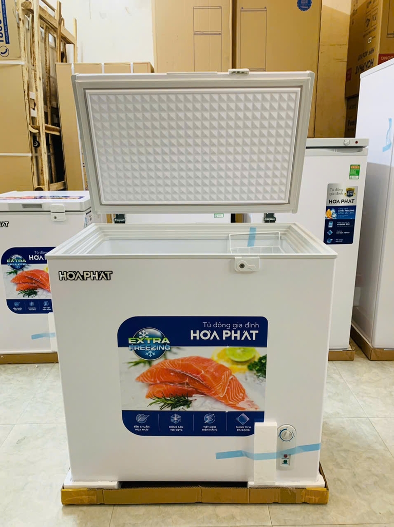 Tủ Đông 162L Hòa Phát HPF-AN6162