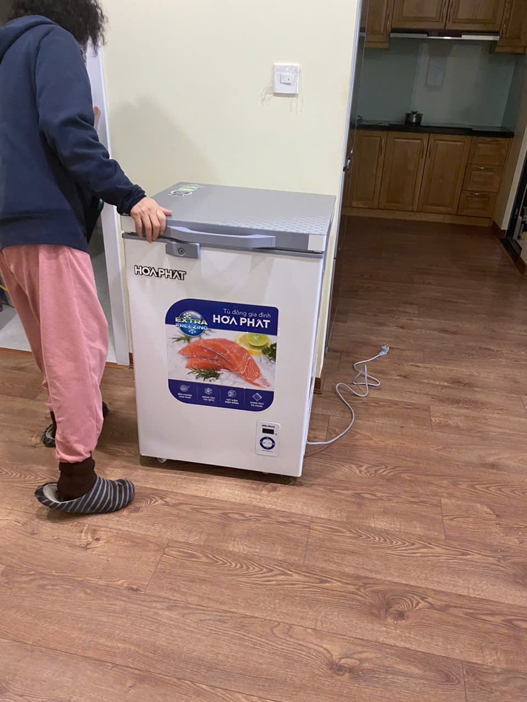 Tủ Đông 107L Hòa Phát HPF-AD6107.T1