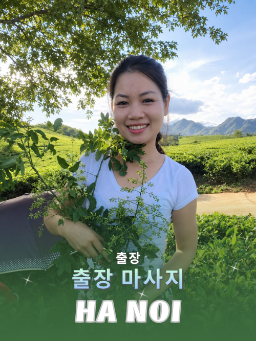 번호 210342 : 베트남 하노이 자택과 호텔에서 마사지