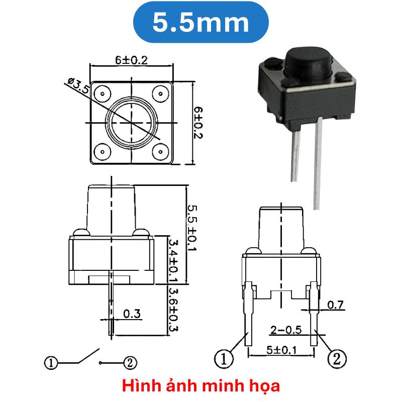 (50 Cái) Nút nhấn 6x6mm 2 chân cắm đứng cao 4.3 - 9mm