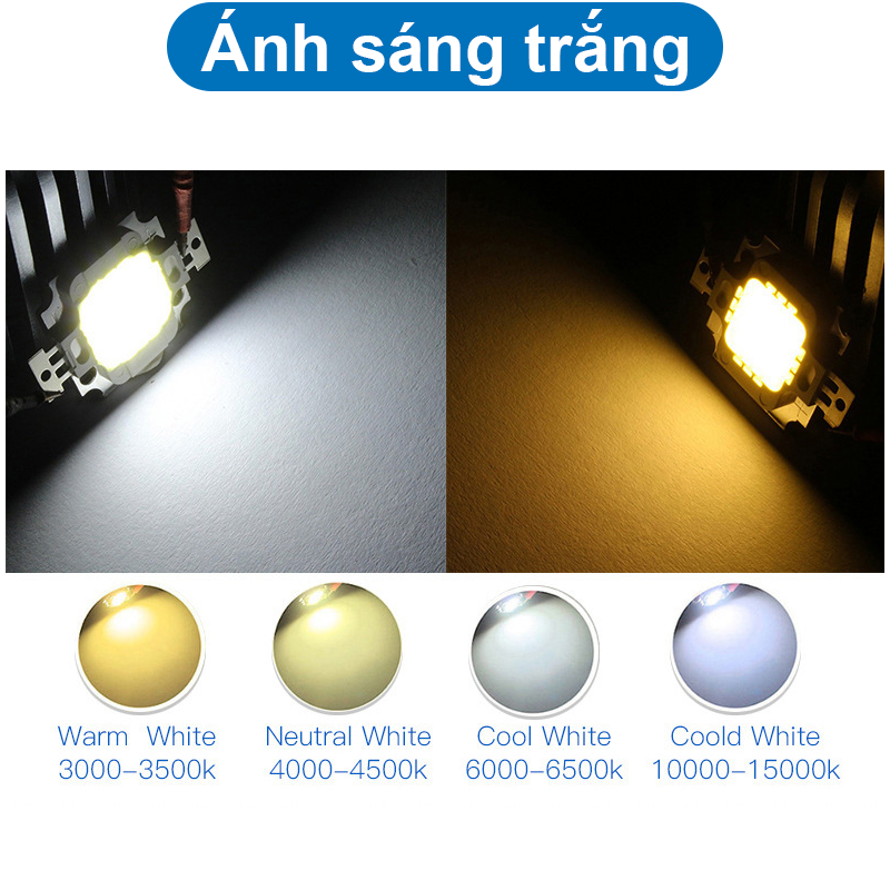 LED COB ánh sáng trắng mát công suất 12V 10W 600mA 10000K / 30000K