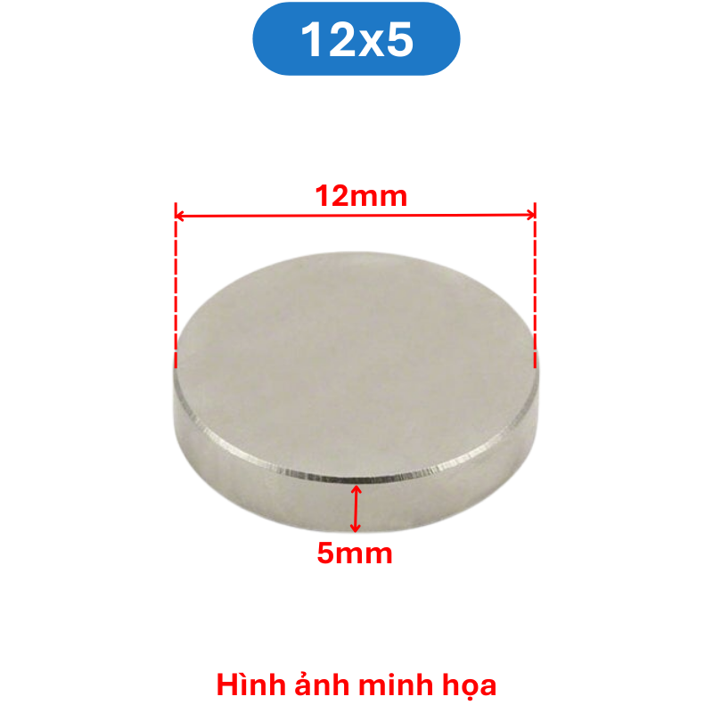 Nam châm đất hiếm tròn không lỗ