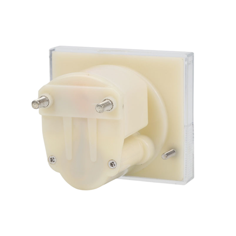 Ampe kế kim hiển thị dòng điện AC 1A - 50A