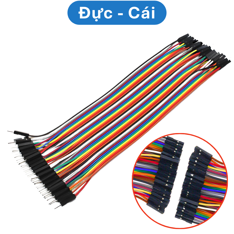Dây bus 2.54 đủ màu 10 - 40cm ( 40 sợi 1 bus)