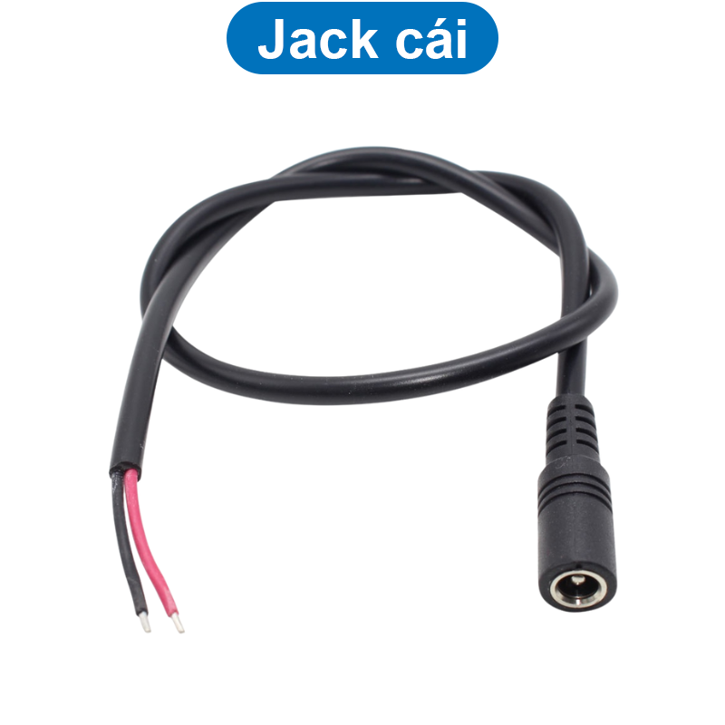 Jack nguồn dc 5.5x2.1 - Đực / Cái 20cm