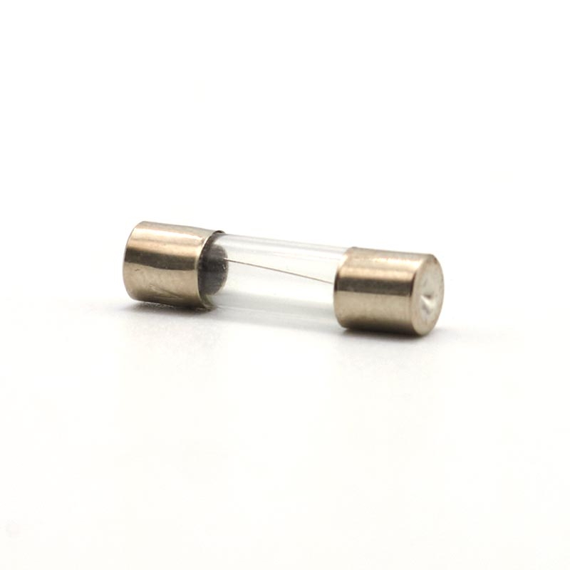 (10 cái) Cầu chì ống thuỷ tinh 5x20mm, 6x30mm