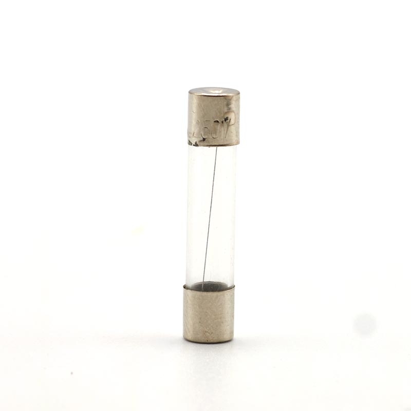 (10 cái) Cầu chì ống thuỷ tinh 5x20mm, 6x30mm