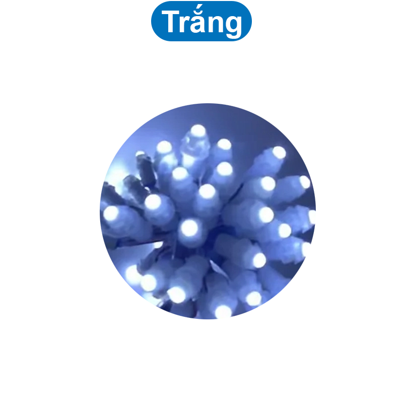 (50 con) LED ruồi F5/9mm điện áp 12V chống nước