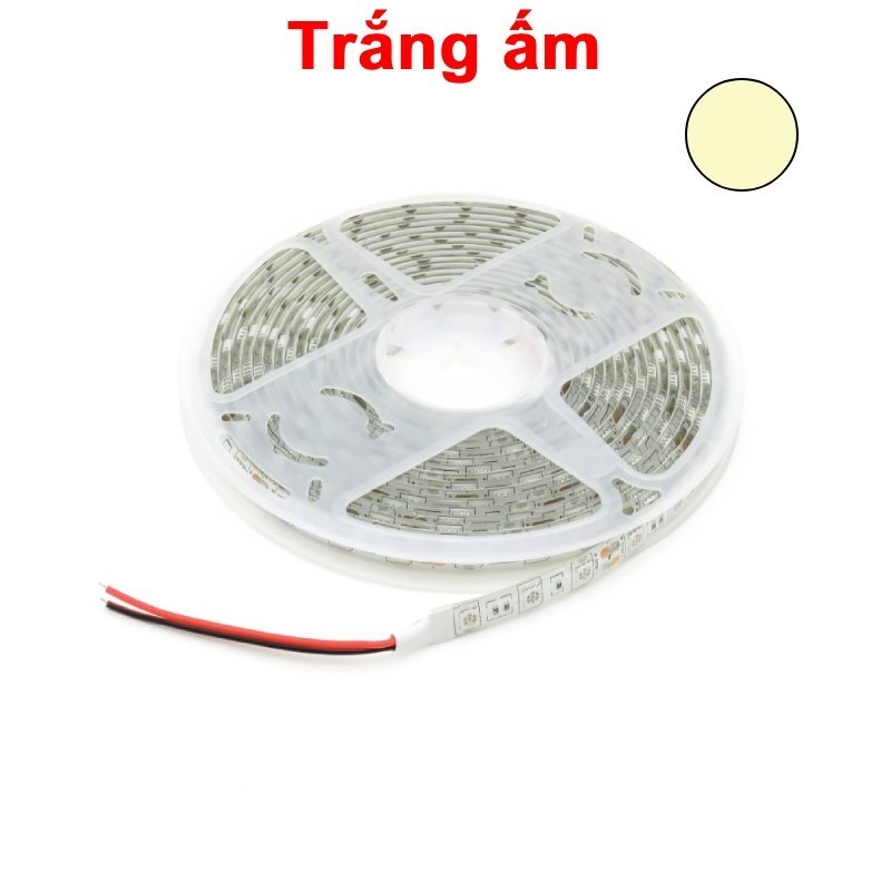 Cuộn LED 5050 chống thấm nước 60 Led/m