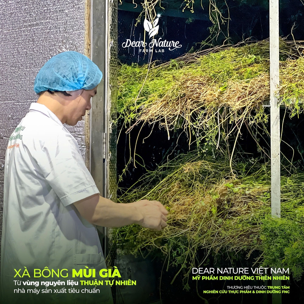 Xà Bông Thảo Dược Orient Treasure Mùi Già Tết Ta 100gr