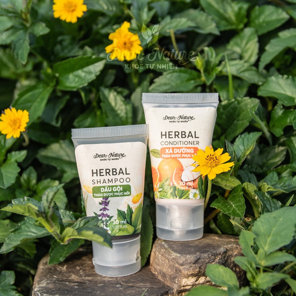 Dầu Gội Trị Gàu, Ngứa, Rụng Herbal 550ml