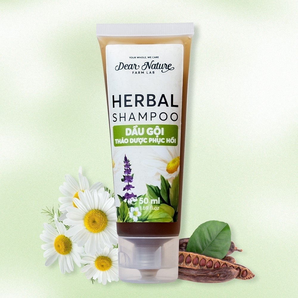 Dầu Gội Trị Gàu, Ngứa, Rụng Herbal 550ml