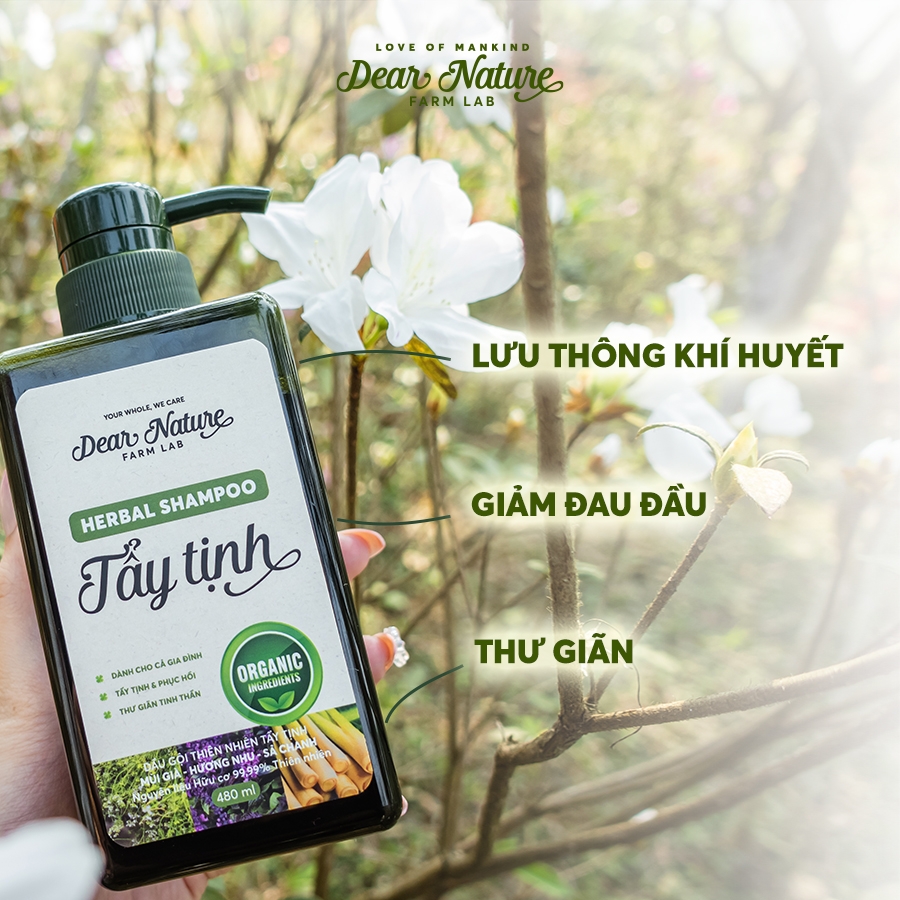 Dầu Gội Tẩy Tịnh Giảm Căng Thẳng 480ml