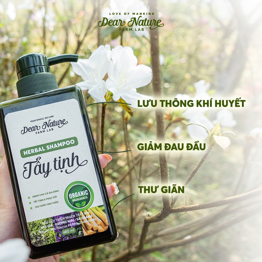 Dầu gội Tẩy Tịnh mùi già lá xông 480ml