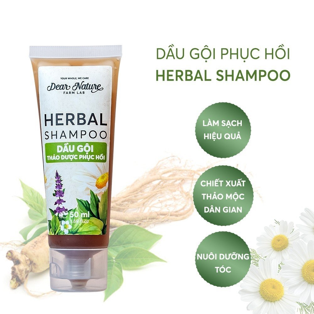 Dầu Gội Trị Gàu, Ngứa, Rụng Herbal 550ml