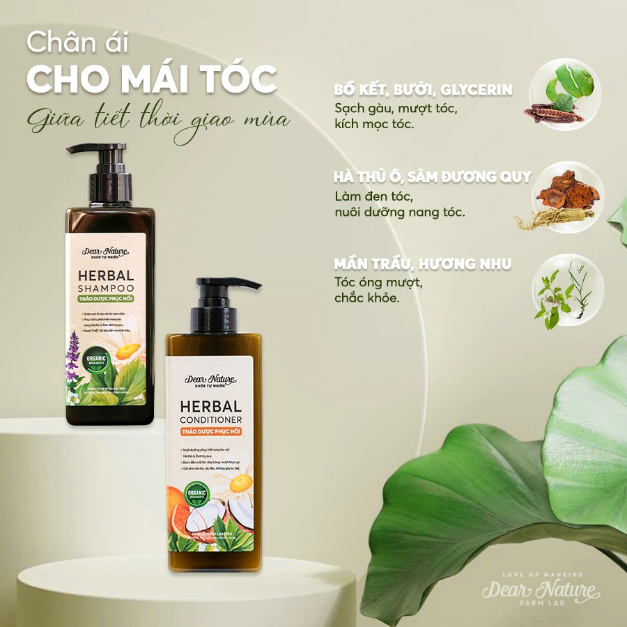 Bộ Gội Xả thảo dược phục hồi herbal 550ml