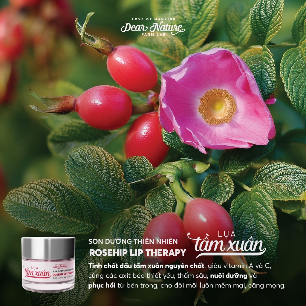 Son dưỡng Lụa tầm xuân Rosehip Lip Therapy 6gr