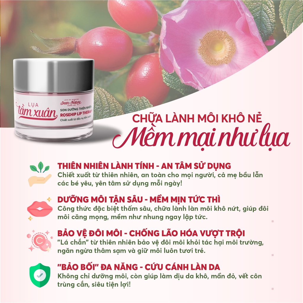 Son dưỡng Lụa tầm xuân Rosehip Lip Therapy 6gr