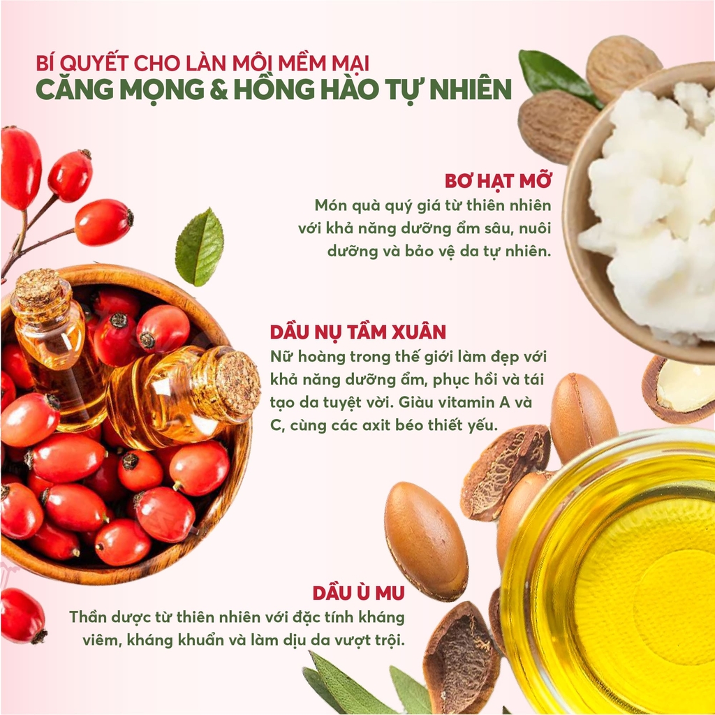 Son dưỡng Lụa tầm xuân Rosehip Lip Therapy 6gr