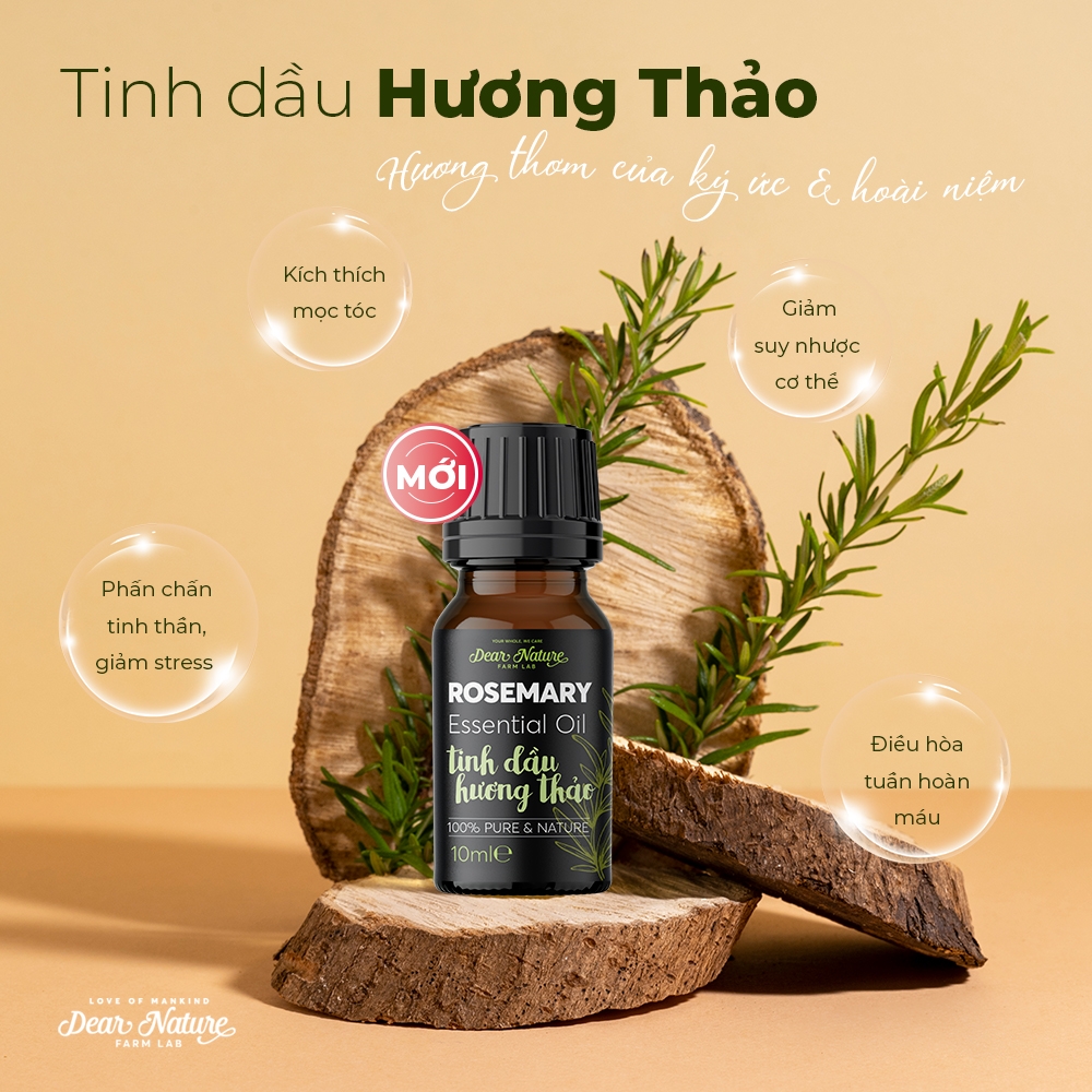 Tinh dầu hương thảo 10ml