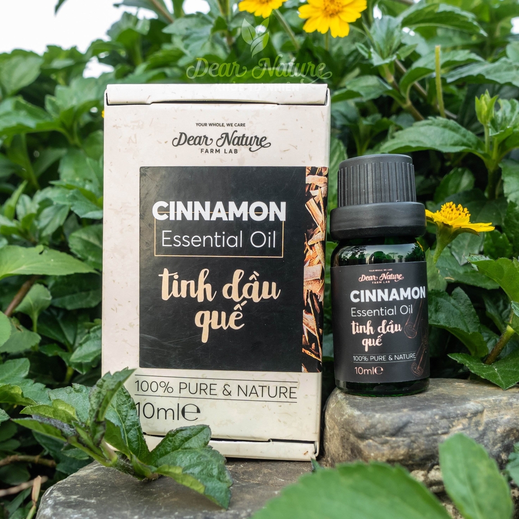 Tinh dầu nguyên chất quế 10ml