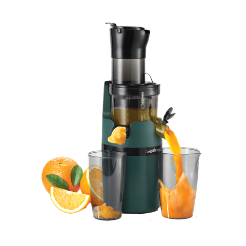 Nagakawa NAG0818 Slow Juicer